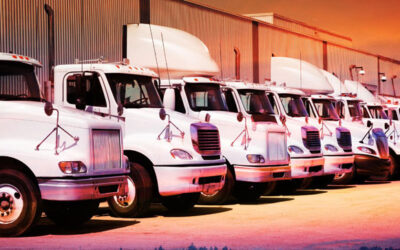 Maximizing Efficiency and Customer Satisfaction: The Power of Dedicated Contact Carriage Services