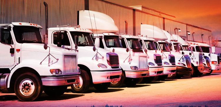 A dedicated contract carriage provider trucks fleet